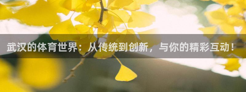 抖球体育直播