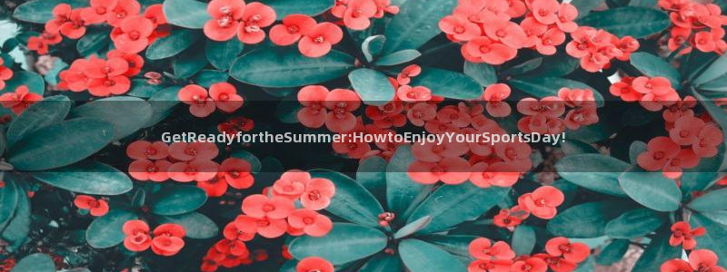 关键词：GetReadyfortheSummer:HowtoEnjoyYourSportsDay!