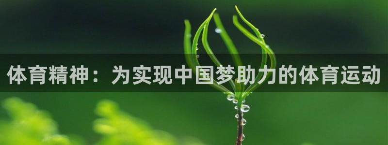 抖球体育直播