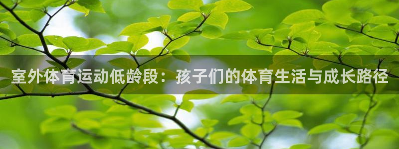 抖球体育：室外体育运动低龄段：孩子们的体育生活与成长路径